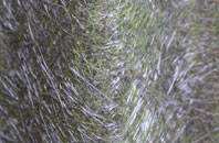 Hoptongate fibreglass roof work